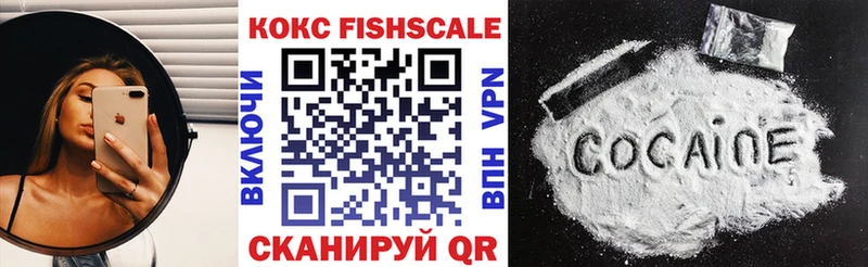 Кокаин FishScale  как найти наркотики  Ельня 
