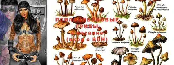 спайс Балабаново