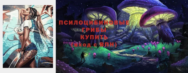 ECSTASY Армянск