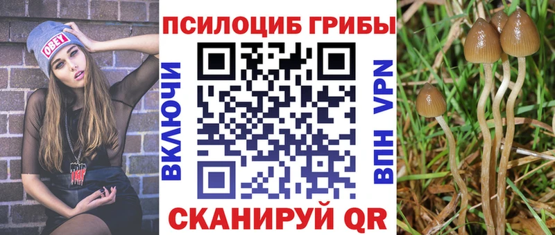 Псилоцибиновые грибы мицелий Ельня